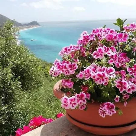 Ariadimare *