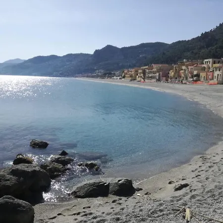Ariadimare *