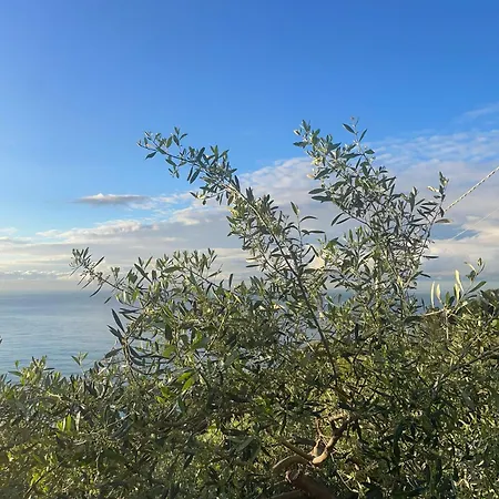 Apartment Ariadimare *