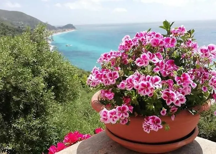 Ariadimare *