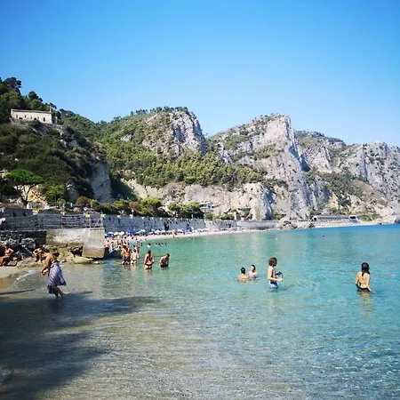 Ariadimare *