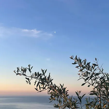 Ariadimare