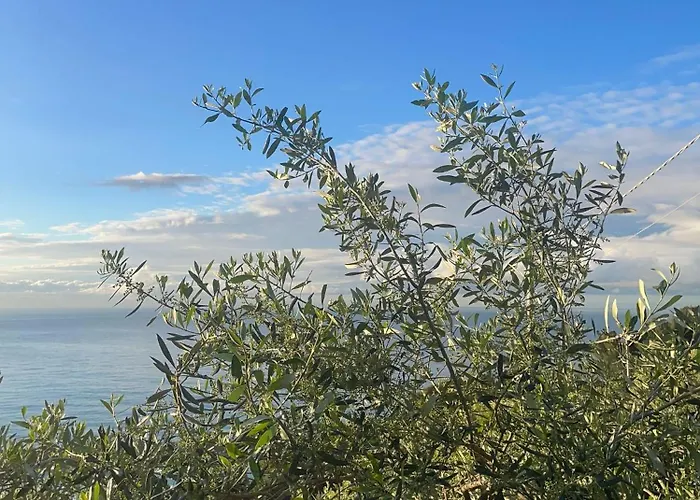 דירה Ariadimare *